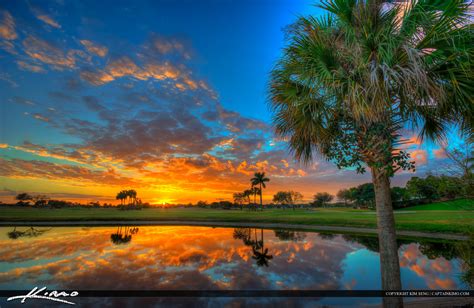 Palm Tree Sunset At Golf Course Abacoa Jupiter Florida