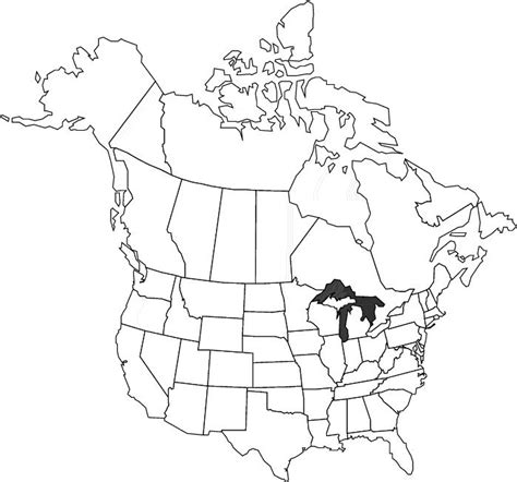 Us Map Coloring Page Coloring Home