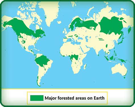 Forest Habitats Powerknowledge Life Science