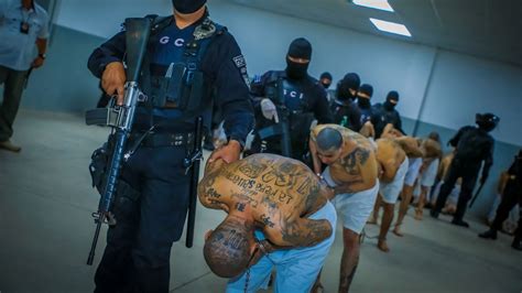 El Salvador Thousands Of Gang Members Transferred To Mega Prison
