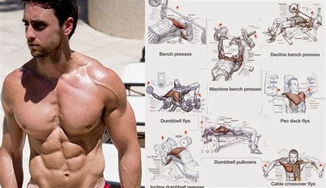 Top 4 Workouts For Chest For Building Muscle Bodydulding
