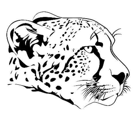 Easy cheetah drawing at getdrawings free download. Cheetah Face Coloring Page | Cheetah drawing, Cheetah pictures, Animal caricature