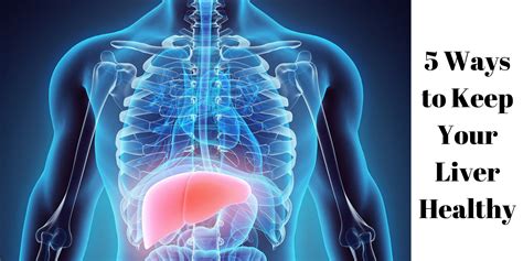 Ways To Keep Your Liver Healthy
