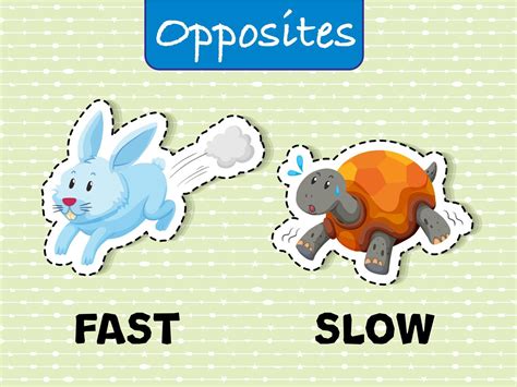 Opposite Words For Fast And Slow 303054 Vector Art At Vecteezy