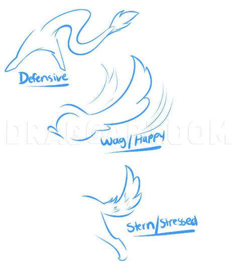 How To Draw A Tail Step By Step Drawing Guide By Dawn Dragoart