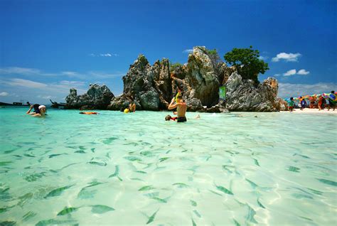 Tarutao Marine National Park Thailand The Golden Scope