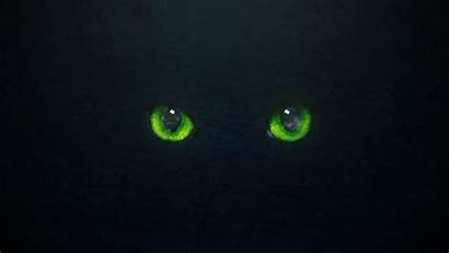 Eyes Wallpapers Cat Animals Leaves Face Desktop