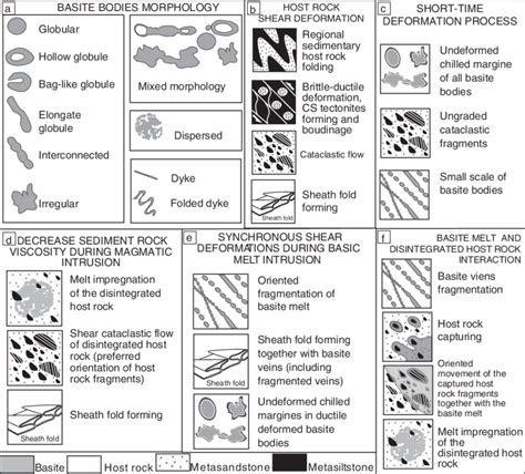 18 Summary Of Gross Characteristics Of Interaction Between The Calcium