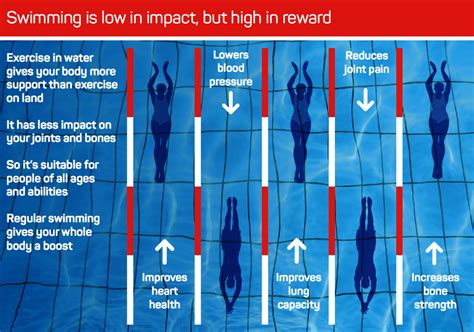 The Physiological Benefits Of Swimming