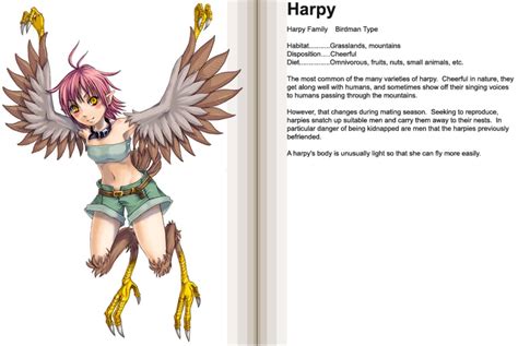 Harpy Monster Girls Know Your Meme