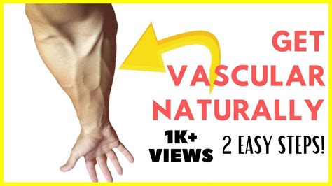 How To Pop Out Veins On Arms How To Get Vascular 2 Easy Steps To