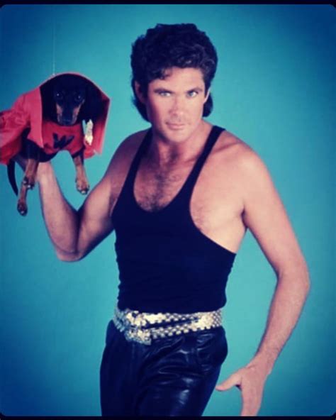Just A Random Pic Of The Hoff Germany Keep It In Your Pants 9gag
