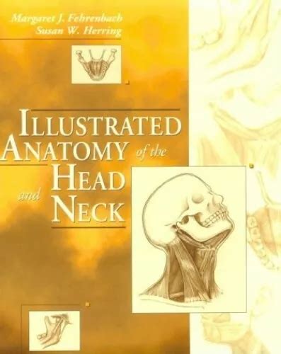Illustrated Anatomy Of The Head And Neck By Herring Phd Susan W