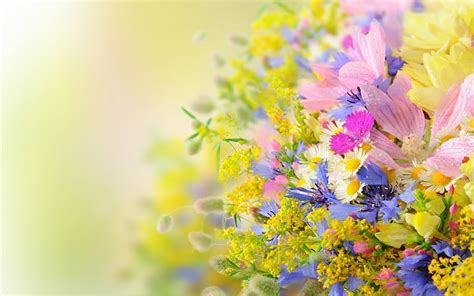 Summer Flower Backgrounds ·① Wallpapertag