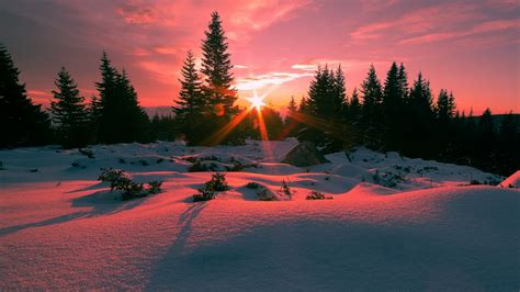Winter Sunbeams On Vitosha Mountain Bulgaria Backiee