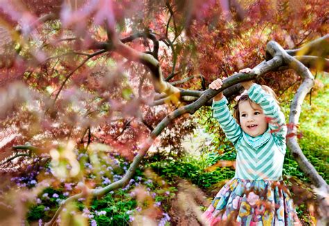 Check spelling or type a new query. Photograph by Tamara Lackey - Chapel Hill, NC photographer | Holiday decor, Christmas ornaments ...