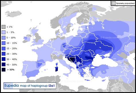 History And Description Of Haplogroup I2 Y Chromosomal Dna And Its