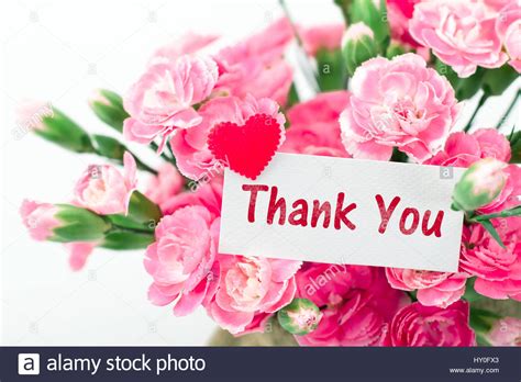Thank You Card And Beautiful Blooming Of The Pink