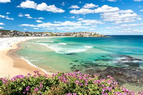 500 Beautiful Bondi Beach Pictures Australia Hd Download Free