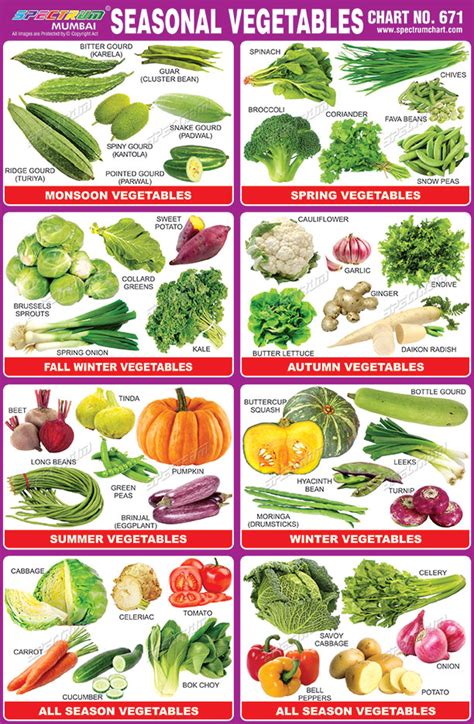 Spectrum Educational Charts: Chart 671 - Seasonal Vegetables