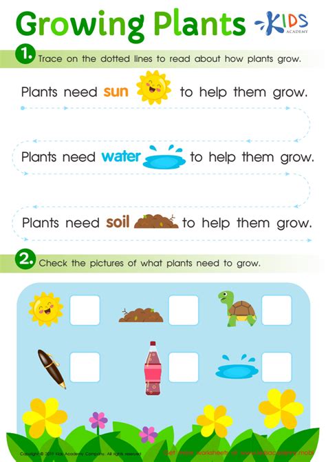 Growing Plants Worksheet For Kids
