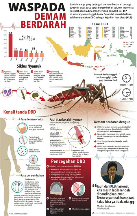 Waspada Demam Berdarah Infografik Antara News My Xxx Hot Girl