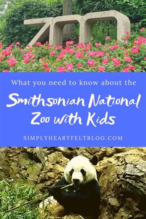 What You Need To Know About The Smithsonian National Zoo With Kids