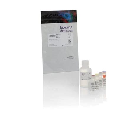 Qubit Protein And Protein Broad Range Br Assay Kits