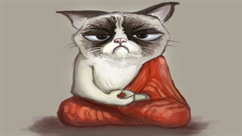 Download Grumpy Grey Cat Meme Wallpaper