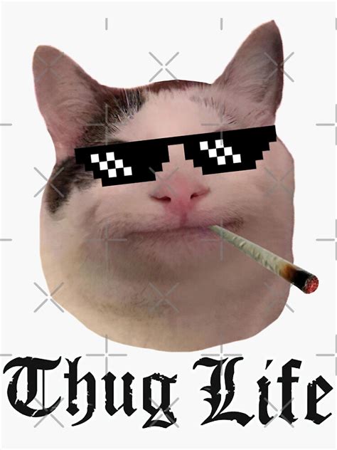 The Lazy Way To Thug Life Smiling Cat Beluga Discord Ts For Movie