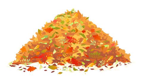 Pile Of Leaves Illustrations Royalty Free Vector Graphics And Clip Art