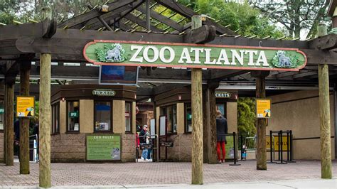 15 Surprising Facts About Zoo Atlanta