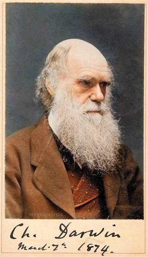 Who Is Charles Darwin Kelseyminserrano