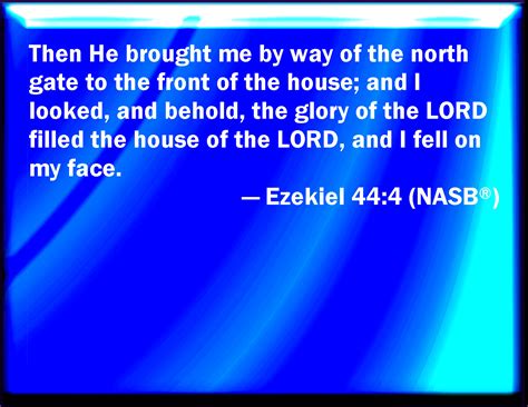 Ezekiel 444 Then Brought He Me The Way Of The North Gate Before The