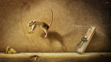 , available online for free.#longlivecomics. Mouse jumping for cheese wallpaper - Animal wallpapers ...