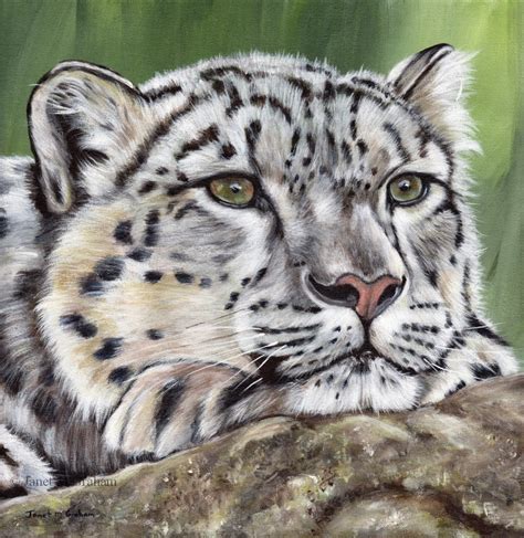 Janet M Grahams Painting Blog Snow Leopard In Acrylics