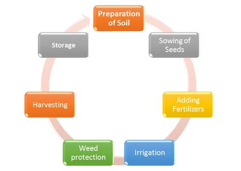 Artificial Intelligence in Farming | i2tutorials