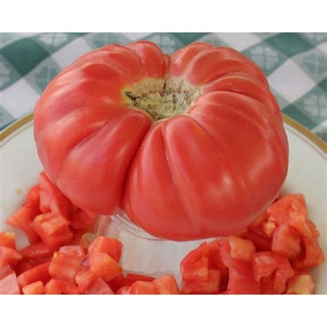 Polish Giant Tomato Seeds Etsy