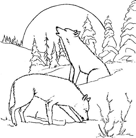 We did not find results for: Wolf