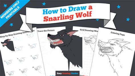 How To Draw A Snarling Wolf Really Easy Drawing Tutorial