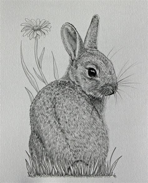 Original Mounted Pencil Drawing Of Baby Bunny Rabbit With