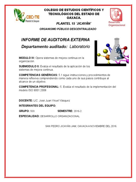 Reporte Final Informe De Auditoria Externa