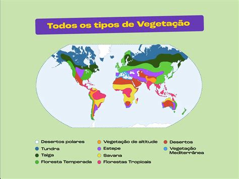 Principais Tipos De Vegetação Do Mundo Toda Matéria