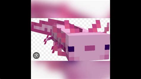 Axolotl Sword Minecraft Nocopyrightmusic Viral Youtubeshorts