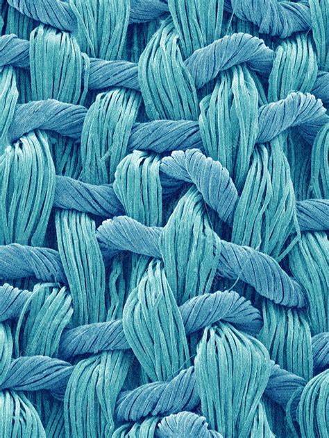 Synthetic Fibres Sem Stock Image H1200356 Science Photo Library