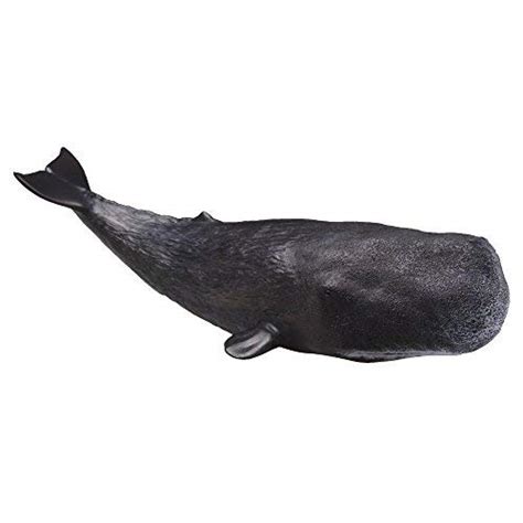 Recur Toys 12inch Sperm Whale Figure Pool Toys Sea Life Soft Hand