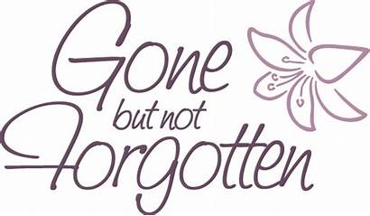 Forgotten Gone Never Quotes Miss Transparent Lost