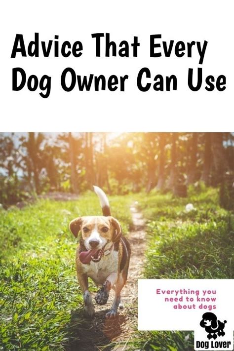 Doing The Best You Can For Your Dog in 2020 | Dogs, Pet ...