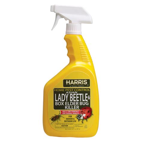 32 Oz Asian Lady Beetle And Box Elder Bug Killer Unoclean