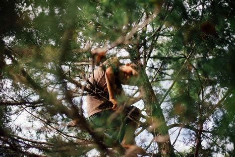 Tree Climber | A Different View